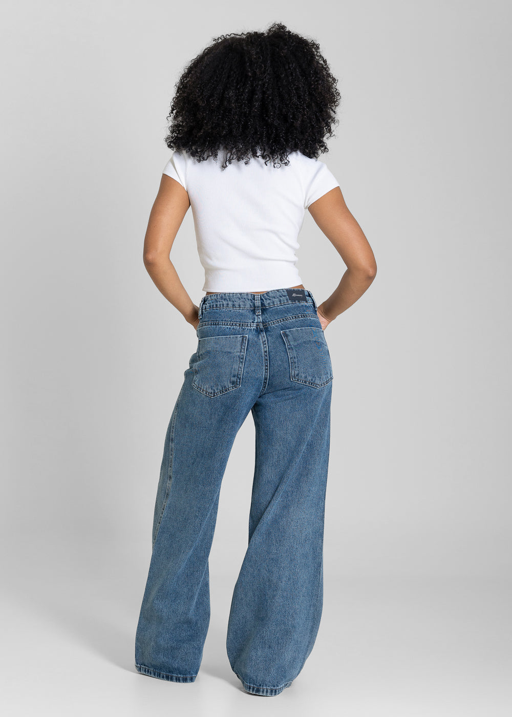 Calça Jeans Sawary Wide Leg Petit Brilho - 283576 AZUL